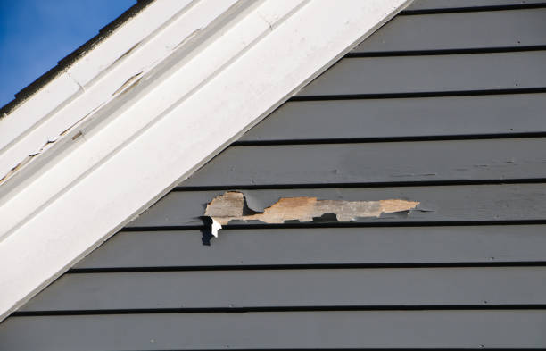 Best Custom Trim and Detailing for Siding  in Terrace Heights, WA